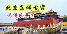 小穴被鸡巴操出水的视频中国北京-东城古宫旅游风景区